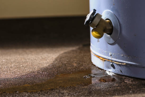 Best Professional water damage repair  in Batesville, TX