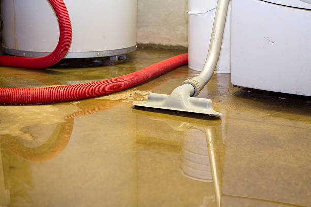 Best Mold removal after water damage  in Batesville, TX